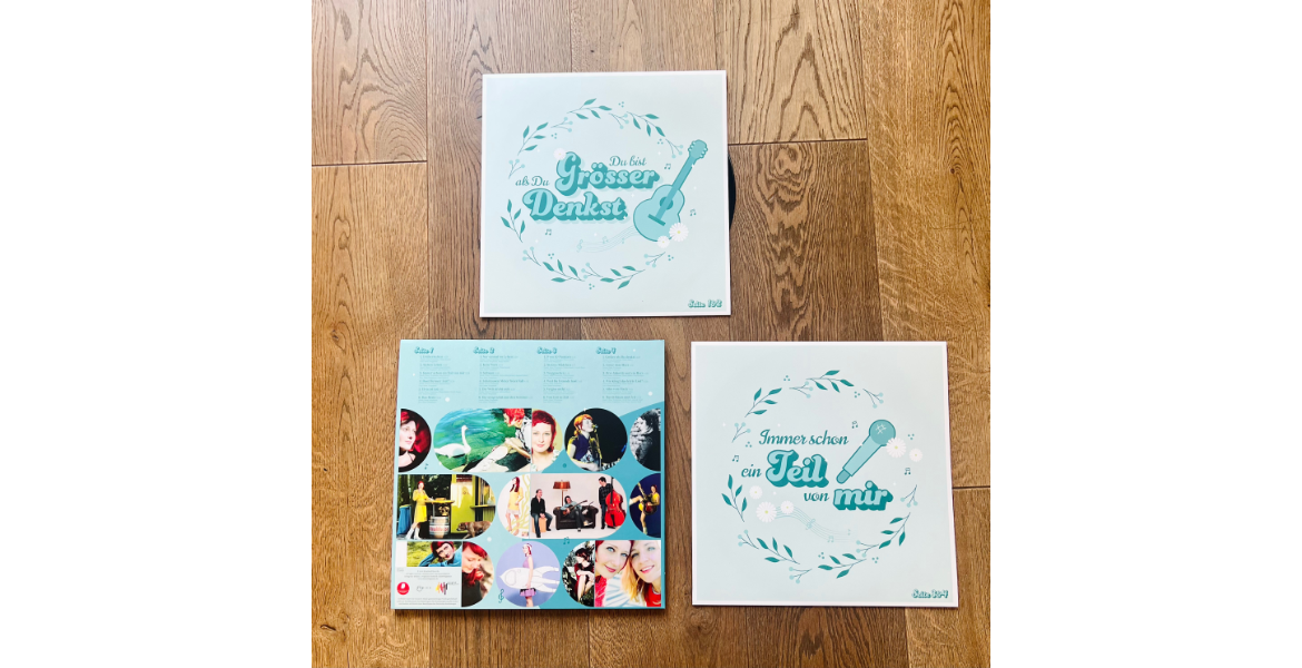 Doppel-Vinyl LP – Songs auf Vinyl / Best of,
